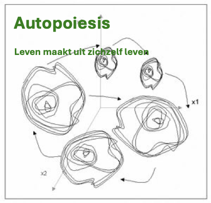 Autopoiesis plaatje blog